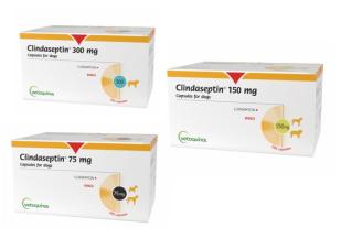 Clindaseptin