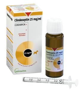 Clindaseptin 25