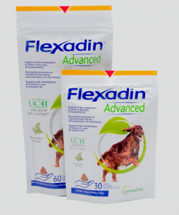 Flexadin Advanced Perro