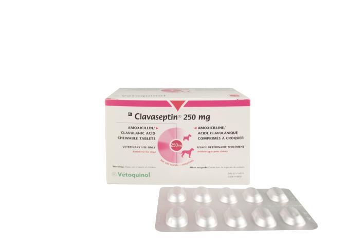Amoxicillin 250mg Online